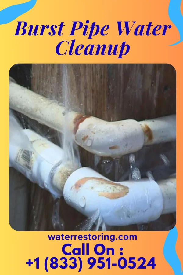 Burst Pipe Water Cleanup in Whitesville, VA