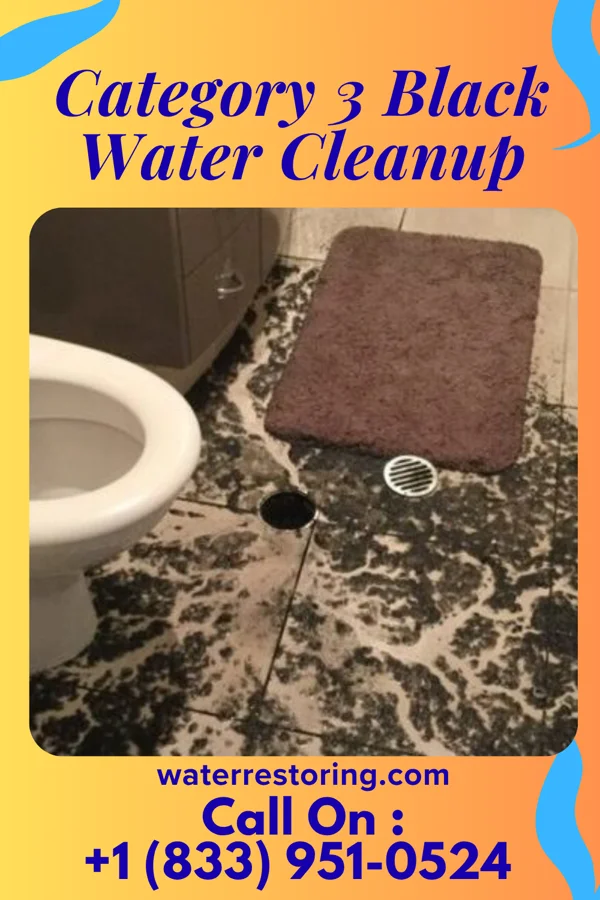 Category 3 Black Water Cleanup in Whitesville, VA