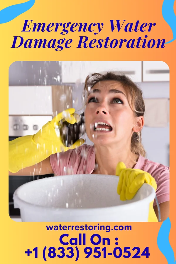 Emergency Water Damage Restoration in Whitesville, VA