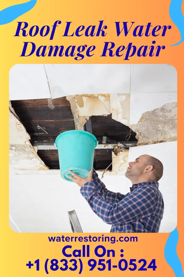 Roof Leak Water Damage Repair in Whitesville, VA